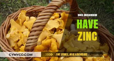 Exploring the Nutritional Benefits: Do Mushrooms Contain Zinc?