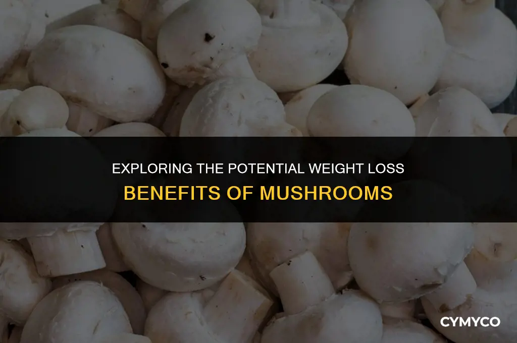 does mushroom help lose weight