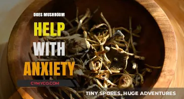 Exploring the Potential of Mushrooms in Alleviating Anxiety Symptoms