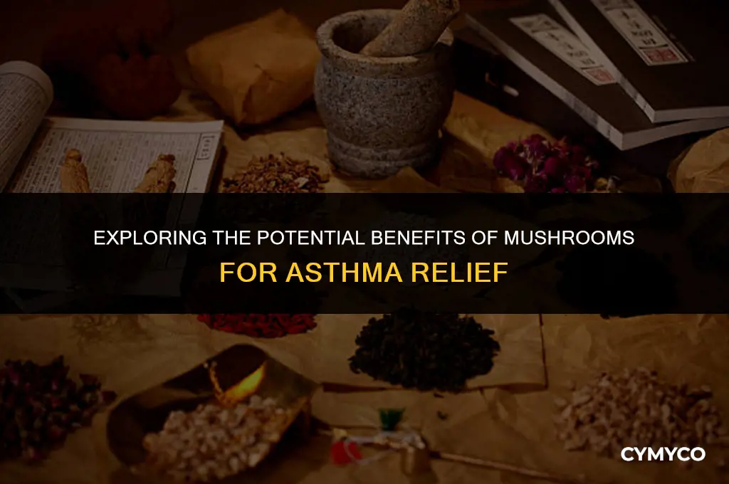 does mushroom help with asthma
