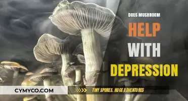 Exploring the Potential of Mushrooms in Alleviating Depression Symptoms