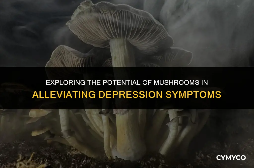 does mushroom help with depression