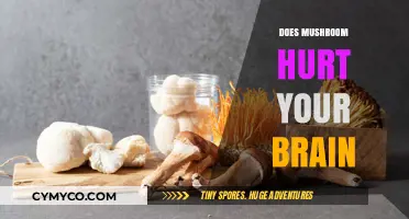 Exploring the Effects of Mushrooms on Brain Health: A Comprehensive Guide