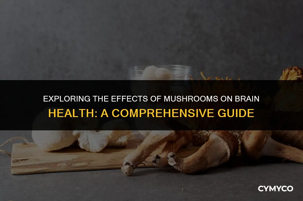 does mushroom hurt your brain