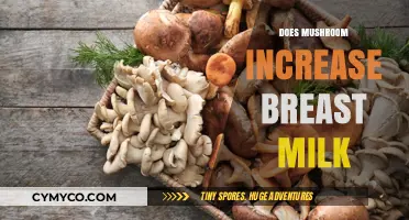 Exploring the Myth: Can Mushrooms Really Boost Breast Milk Production?
