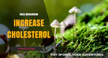 Exploring the Myth: Do Mushrooms Really Raise Cholesterol Levels?