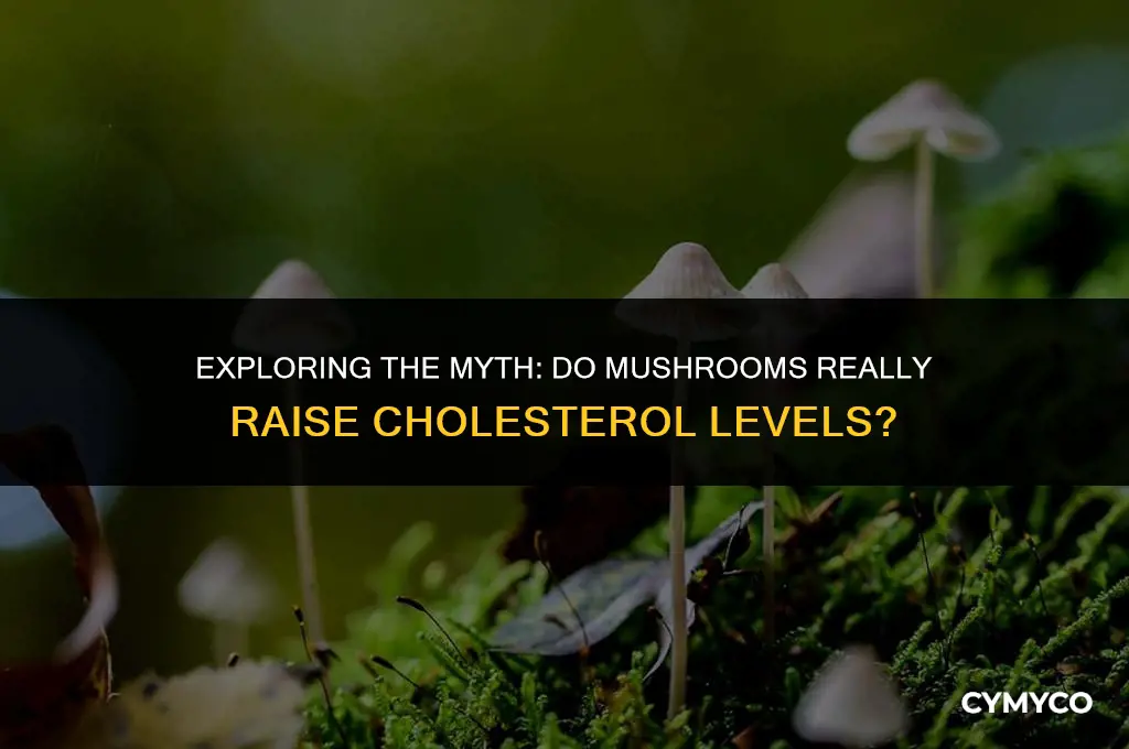 does mushroom increase cholesterol