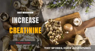 Exploring the Link: Mushrooms and Creatinine Levels in the Body