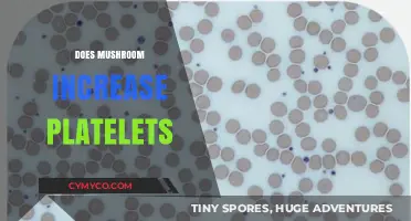 Exploring the Link: Can Mushrooms Boost Your Platelet Count?