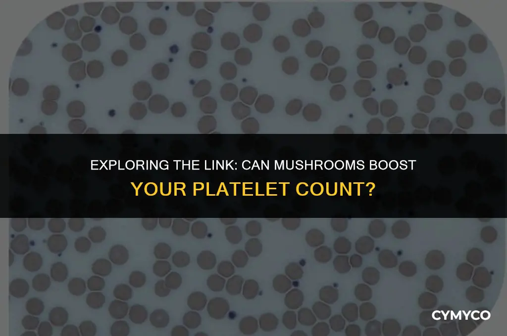 does mushroom increase platelets