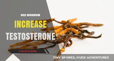 Exploring the Link: Can Mushrooms Boost Testosterone Levels?