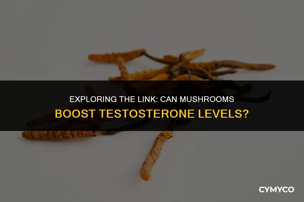 does mushroom increase testosterone