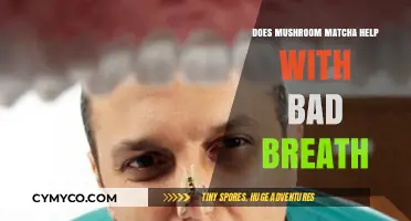 Fresh Breath Fix: Can Mushroom Matcha Cure Halitosis?