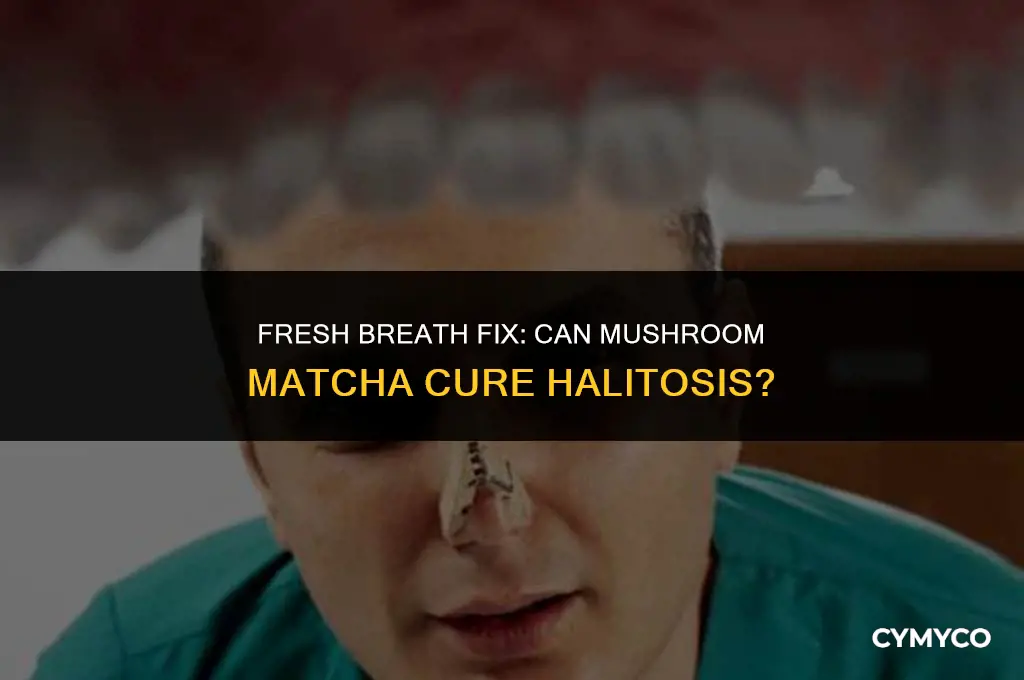 does mushroom matcha help with bad breath