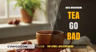 Exploring the Shelf Life of Mushroom Tea: Does It Go Bad?