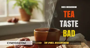 Exploring the Flavor Profile of Mushroom Tea: A Taste Test