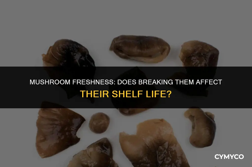 does mushrooms go bad if broken in half