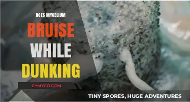 Exploring Mycelium Resilience: Does It Bruise While Dunking?