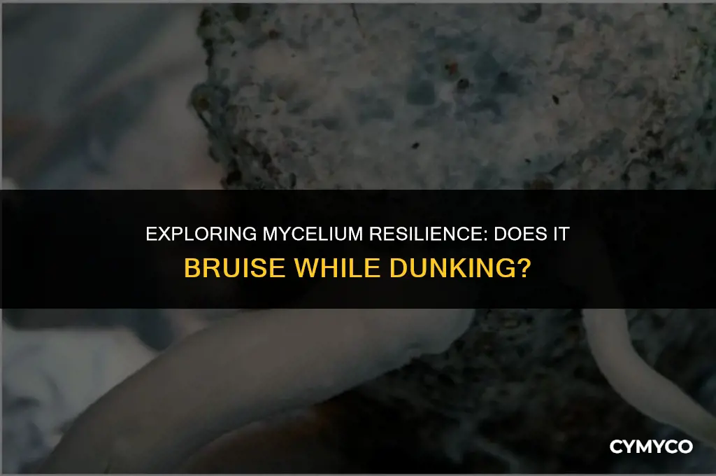 does mycelium bruise while dunking