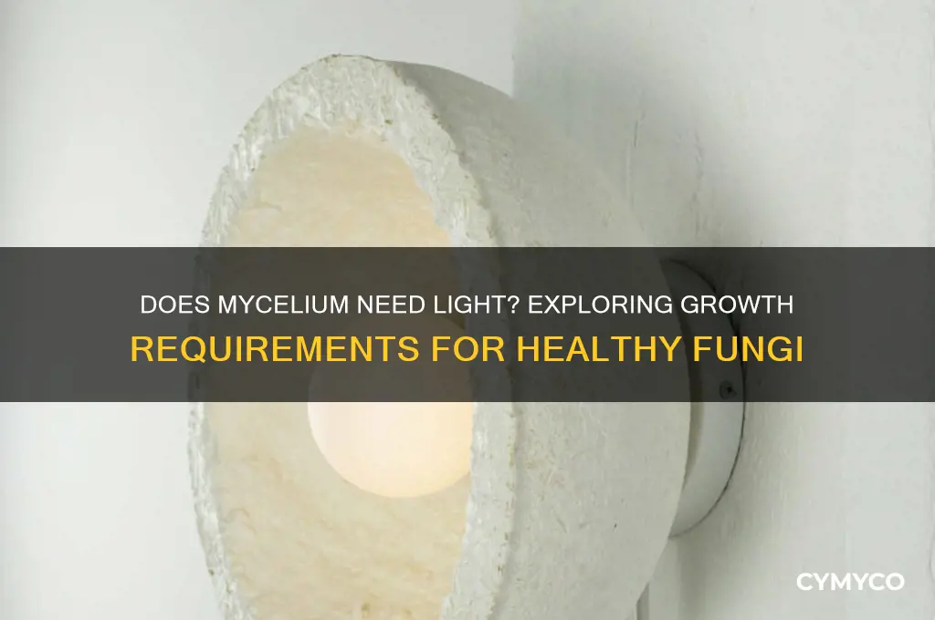 does mycelium need light