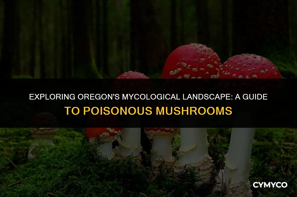 does oregon have poisonous mushrooms