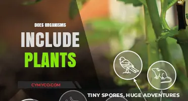 Exploring the Intricacies: Do Organisms Include Plants?