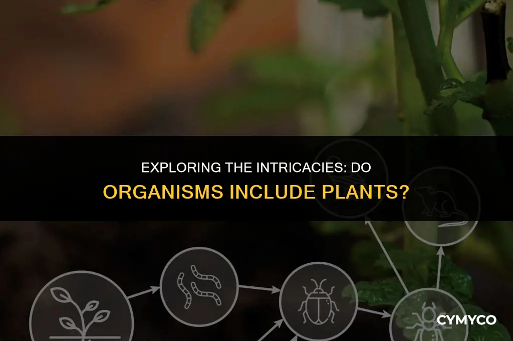 does organisms include plants