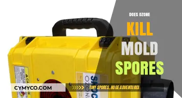 Ozone's Power: Effectively Eliminating Mold Spores in Your Environment