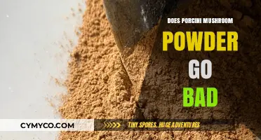 Exploring the Shelf Life of Porcini Mushroom Powder: Does It Go Bad?