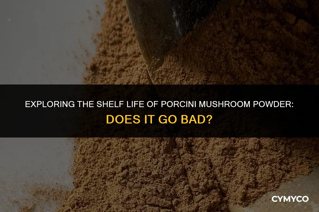 does porcini mushroom powder go bad