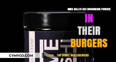Unveiling the Secret: Does Rally's Use Mushroom Powder in Their Burgers?