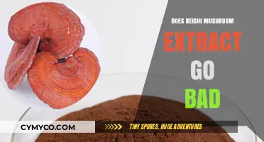 Does Reishi Mushroom Extract Expire? Shelf Life and Storage Tips
