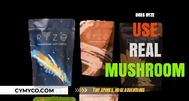 Exploring Ryze's Ingredients: The Truth About Real Mushrooms