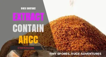 Unlocking the Health Benefits: Shiitake Extract and AHCC Explained