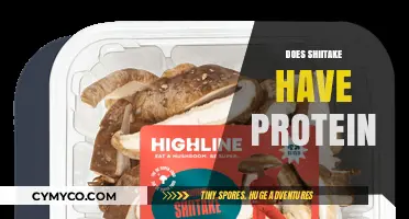 Unlocking Nutrition: The Surprising Protein Power of Shiitake Mushrooms