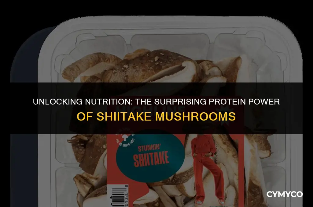 does shiitake have protein