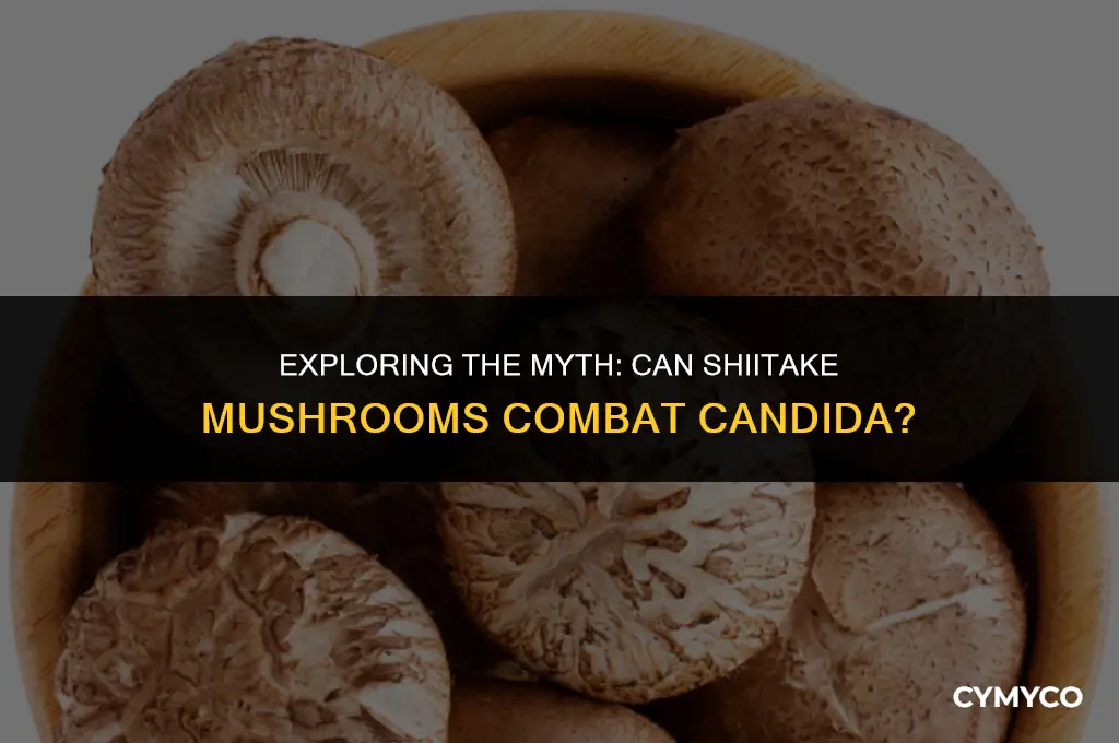 does shiitake kill candiada