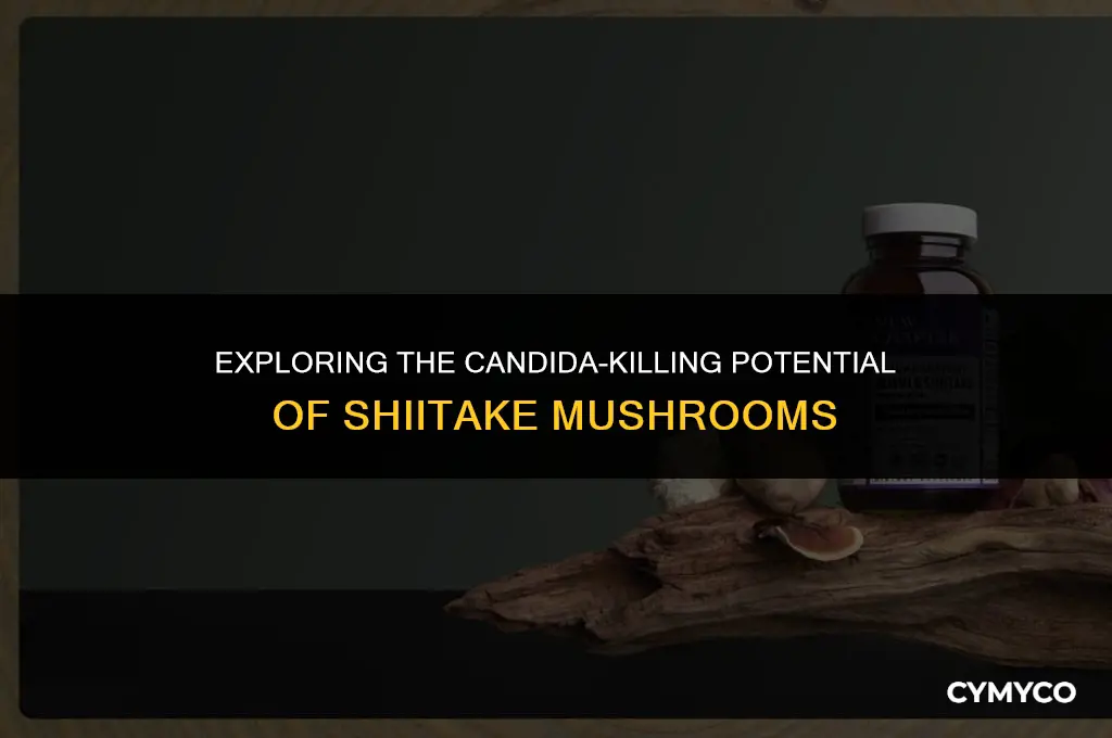 does shiitake kill candida