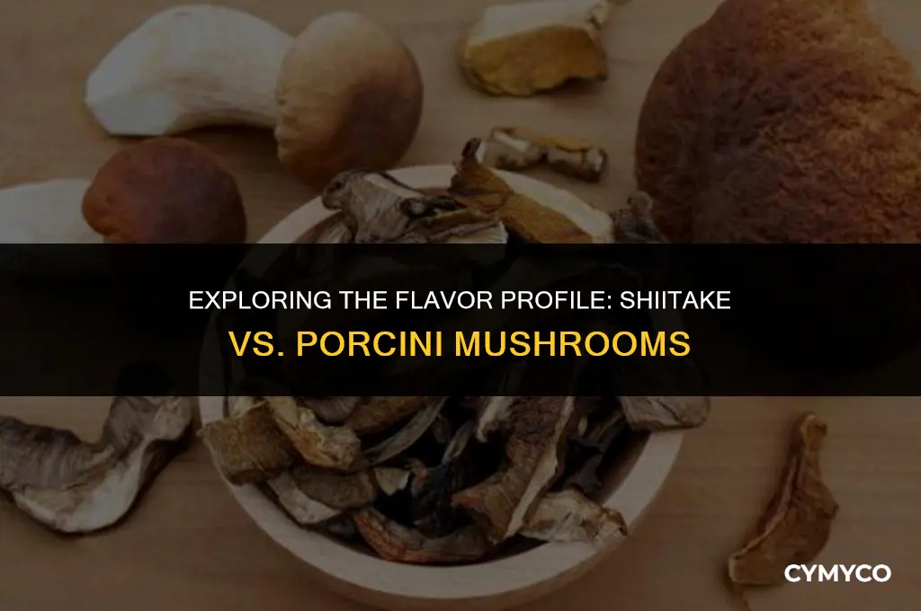does shiitake taste like porcini