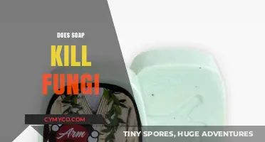 Can Soap Effectively Eliminate Fungi? Exploring Its Antimicrobial Properties