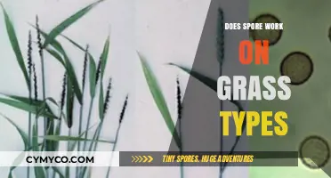 Exploring Spore's Efficacy on Various Grass Types: A Comprehensive Guide