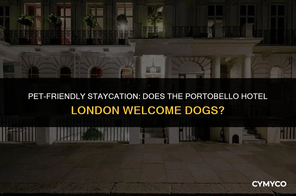 does the portobello hotel london accept dogs