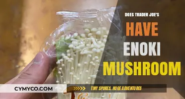Exploring Trader Joe's: The Hunt for Enoki Mushrooms