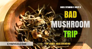Exploring Vitamin C's Potential Role in Alleviating Bad Mushroom Trips