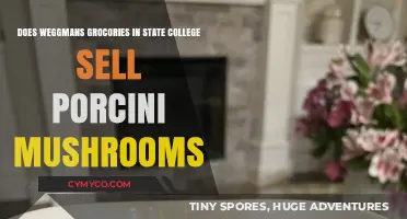 Porcini Mushrooms at Wegmans State College: Availability and Tips