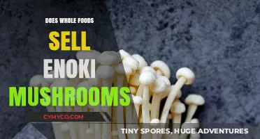 Exploring Whole Foods: A Guide to Finding Enoki Mushrooms