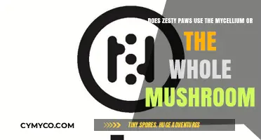 Exploring Zesty Paws' Mushroom Source: Mycelium or Whole Fungi?