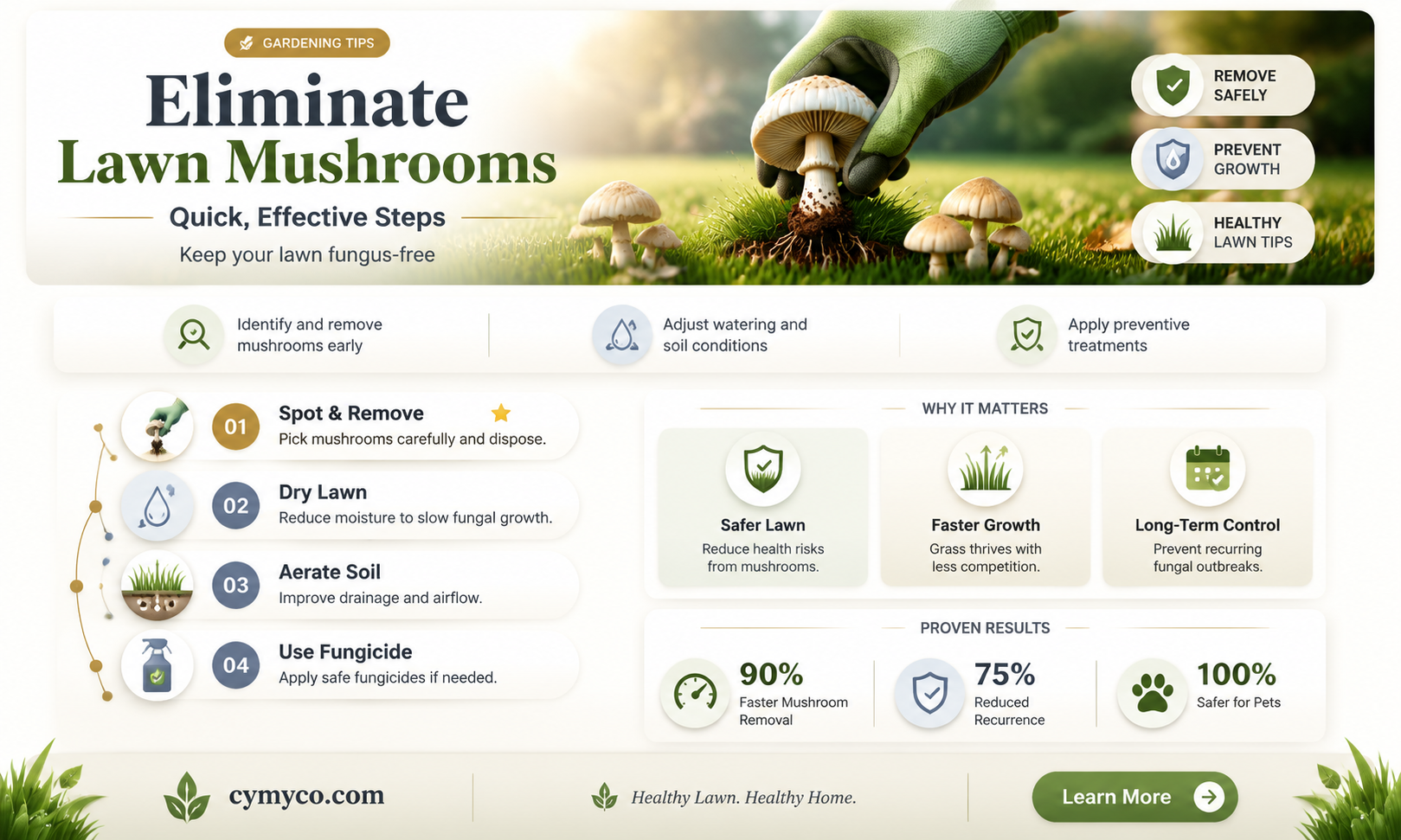 what to put on lawn to get rid of mushrooms