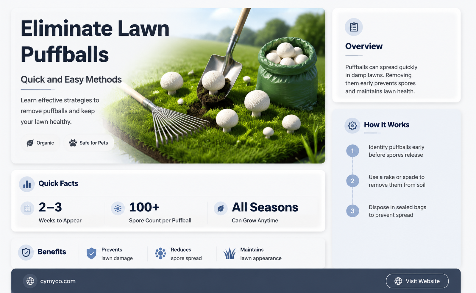 how to get rid of puffballs in lawn