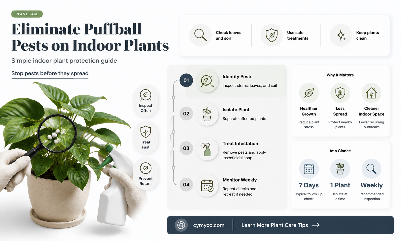 how to get puffball pests off indoor plants